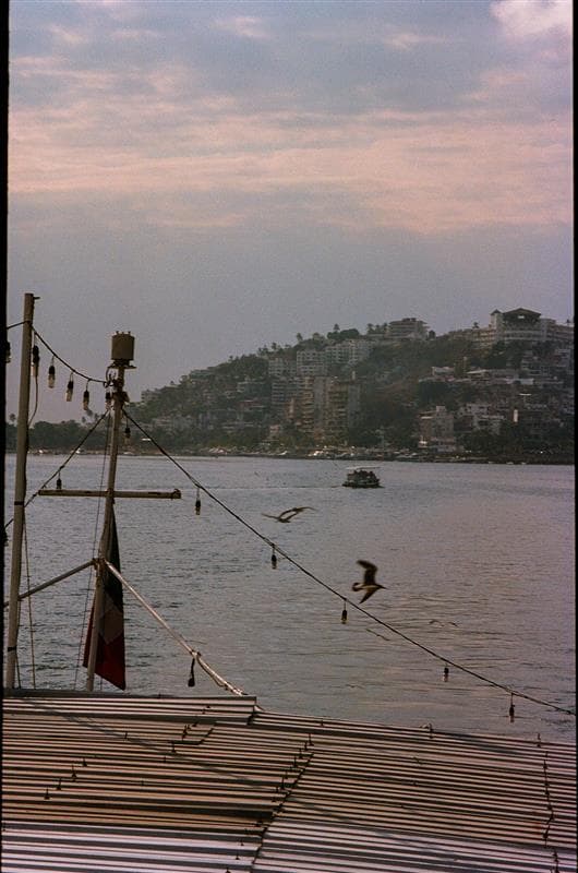 Photo in 26 in the Motherland