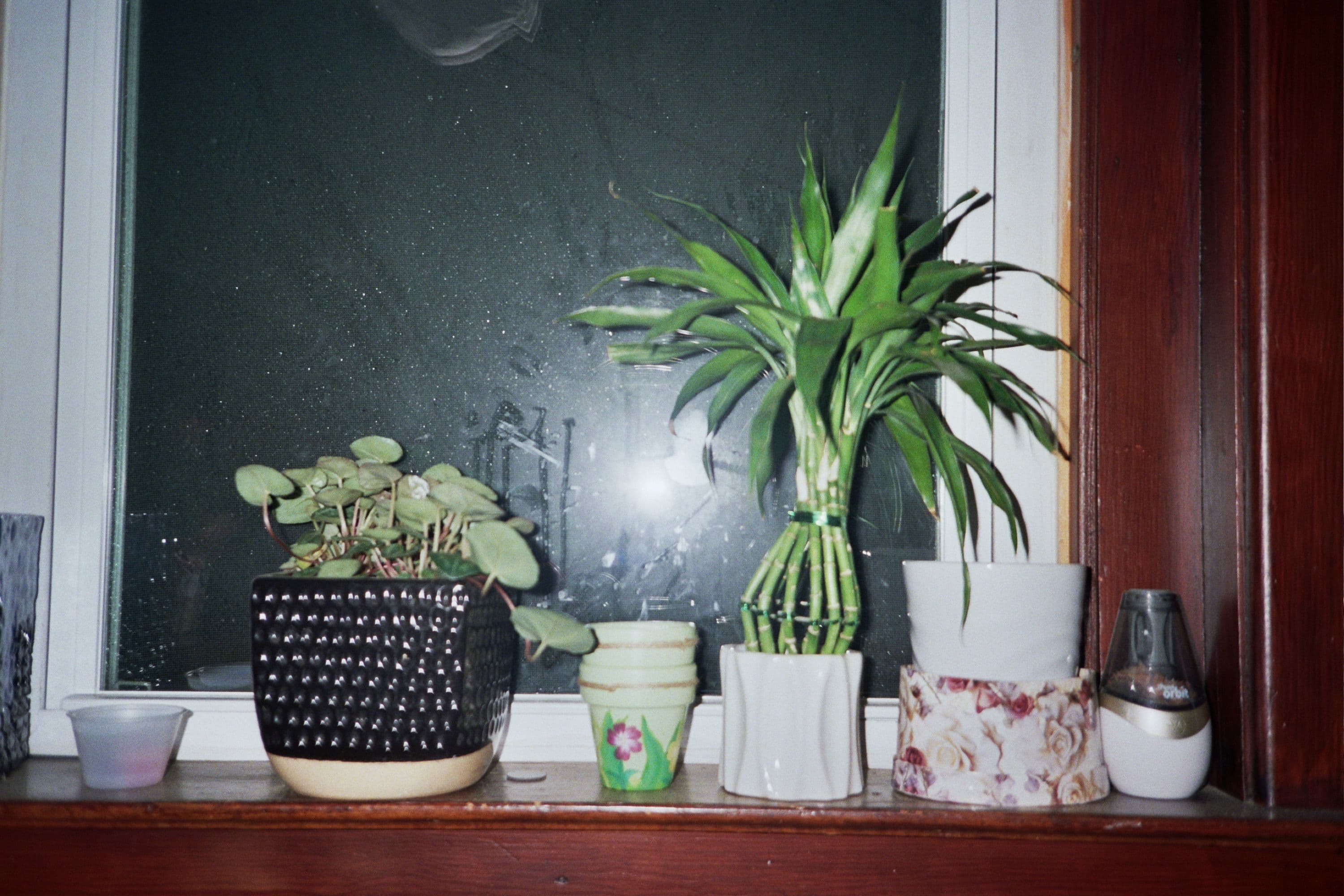 Photo in The Rest is History