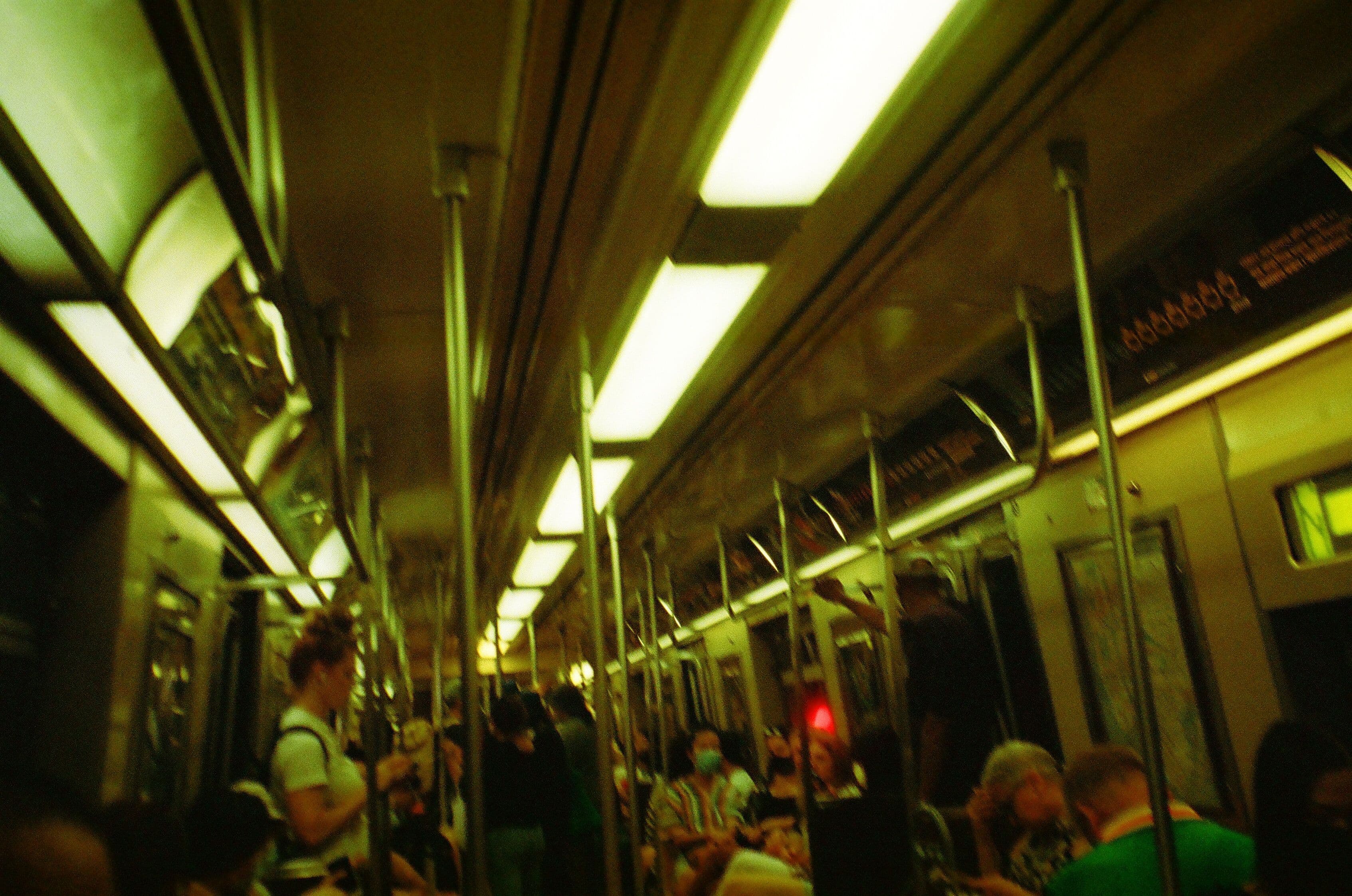 Photo in Fire Island