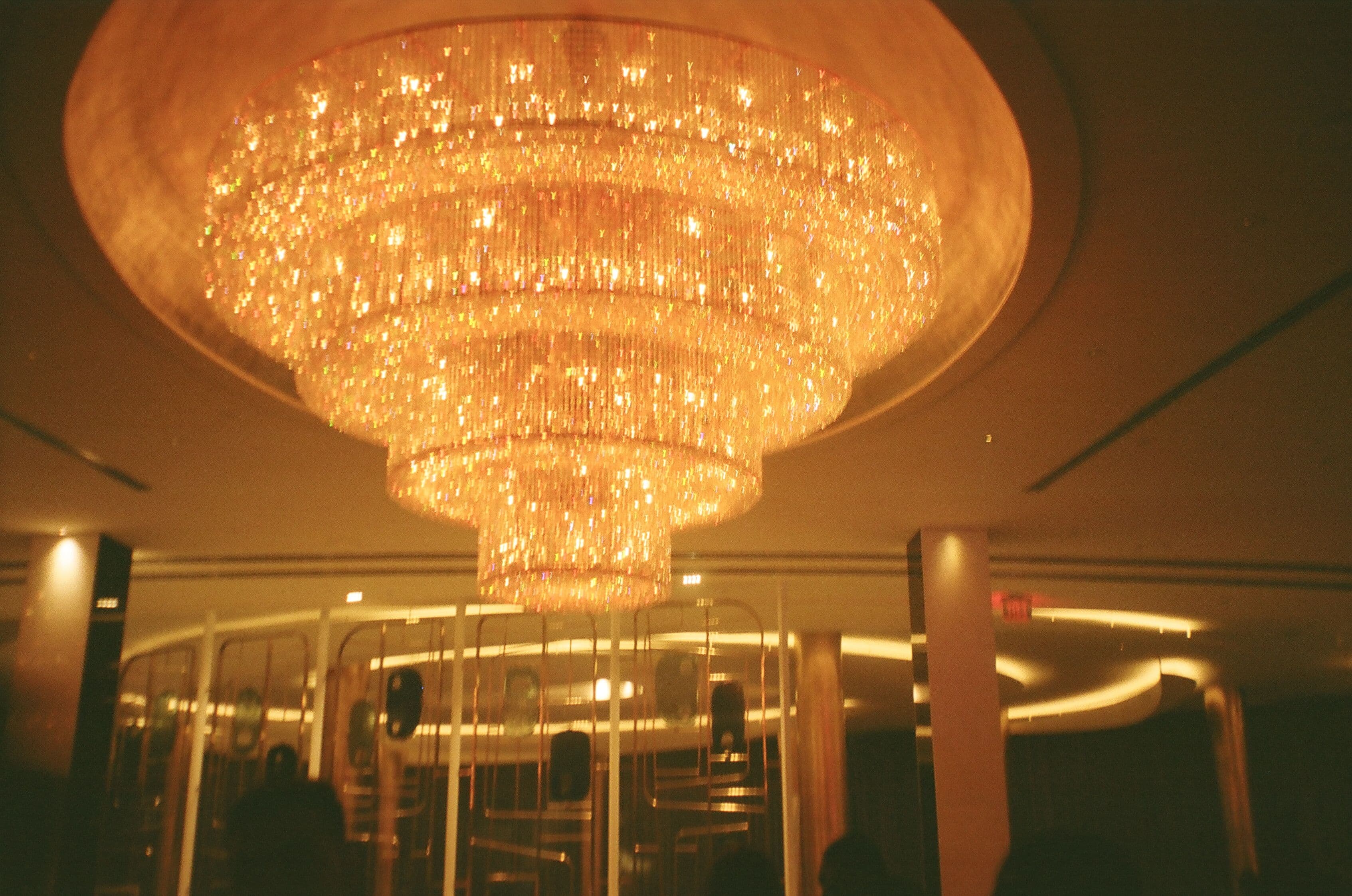 Photo in Summer's End in the 305