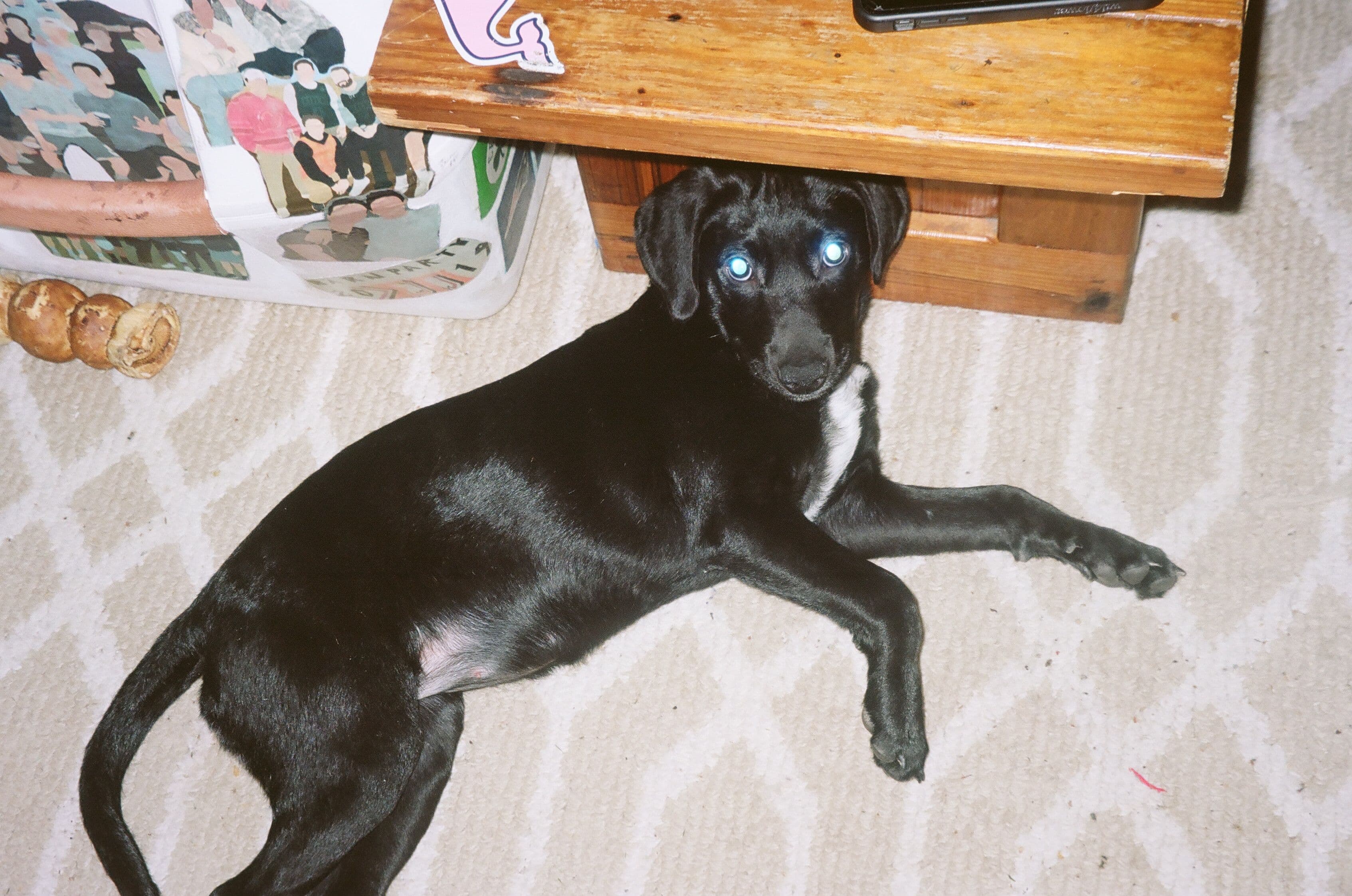 Photo in The Lasts To 21