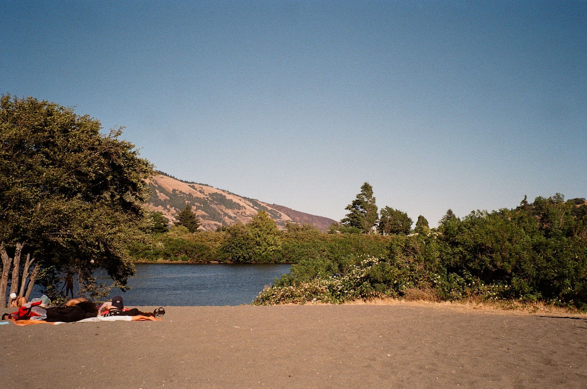 Photo in SIDE QWESTS