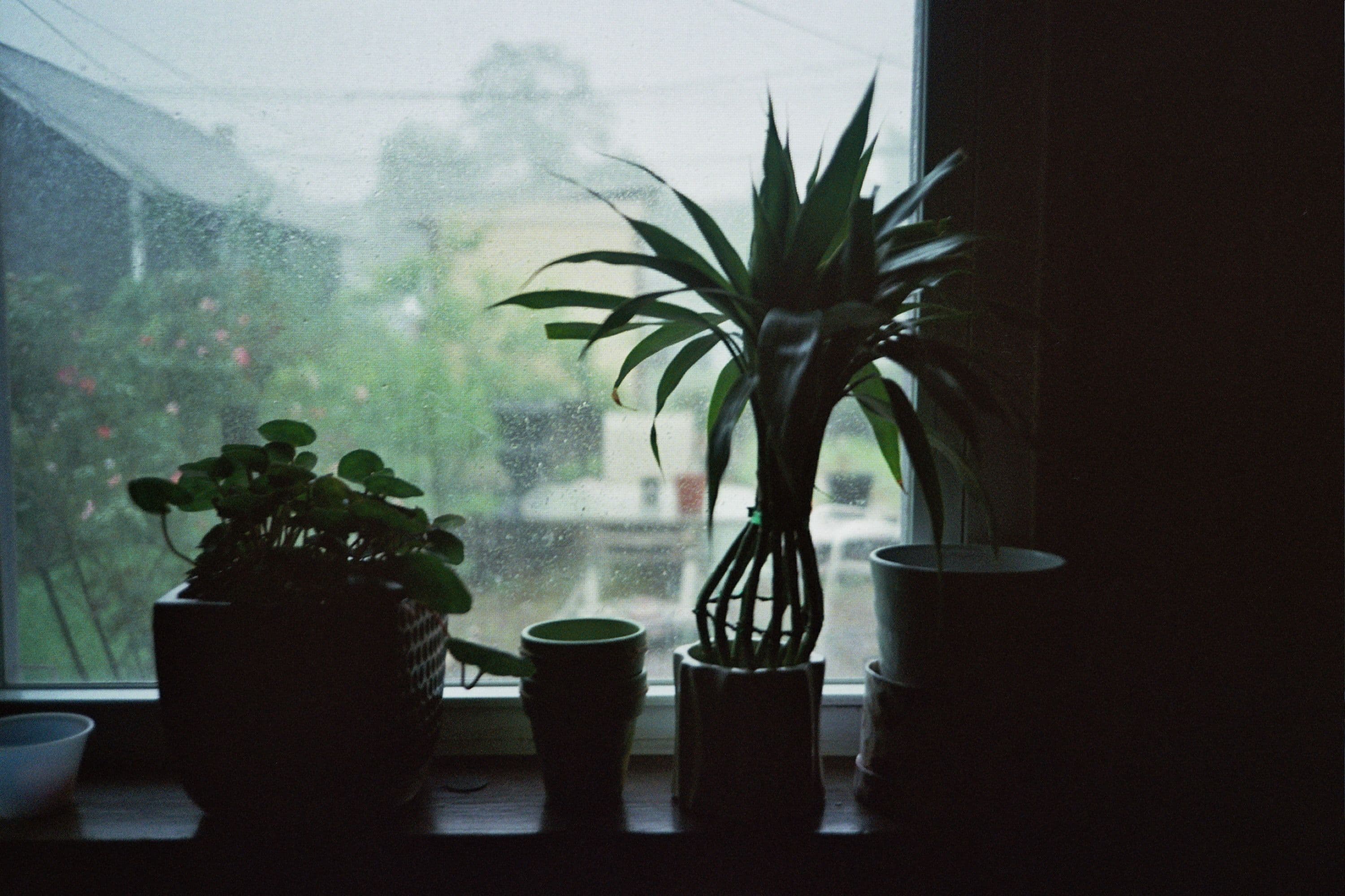 Photo in The Rest is History