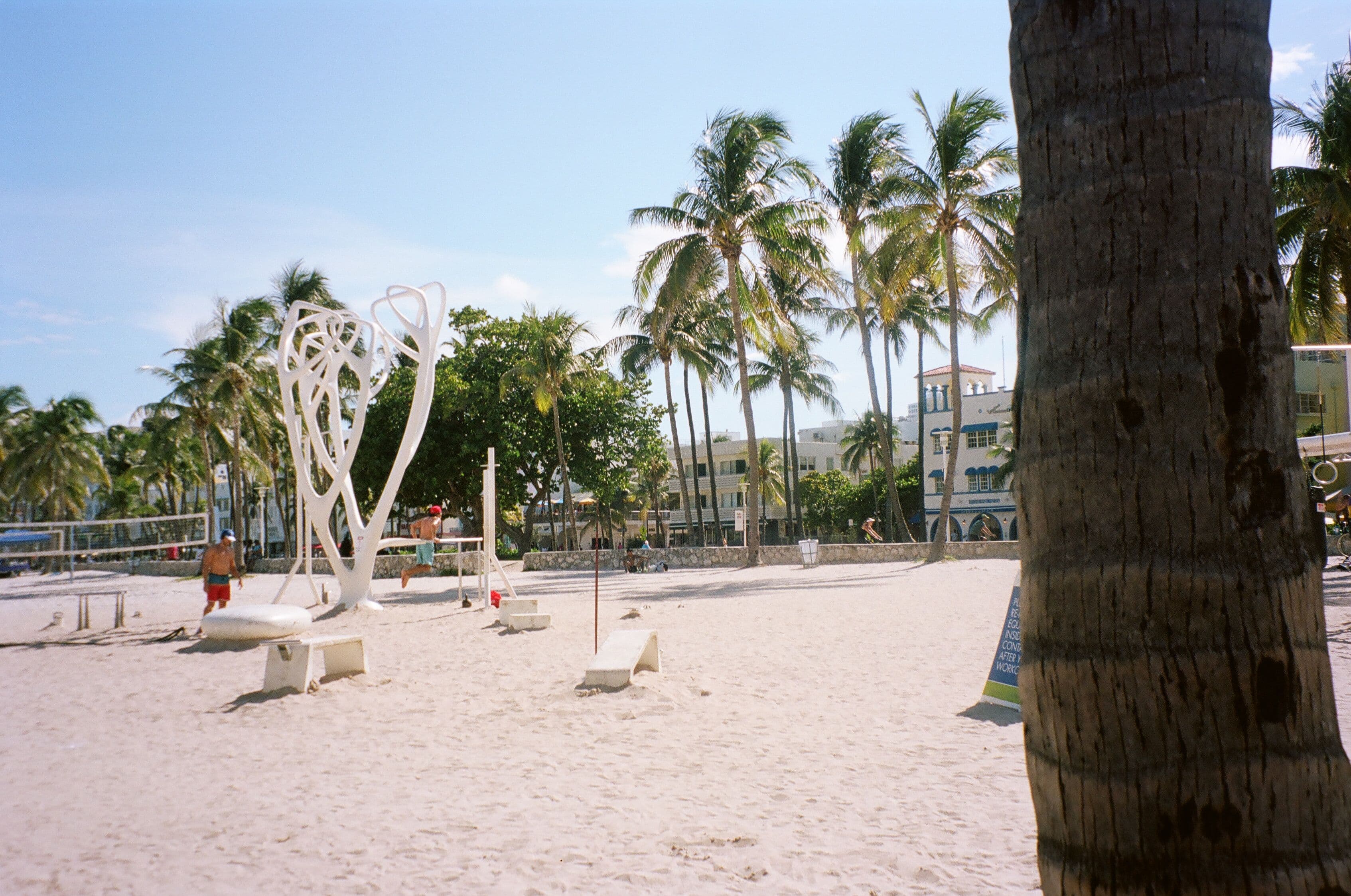 Photo in Summer's End in the 305