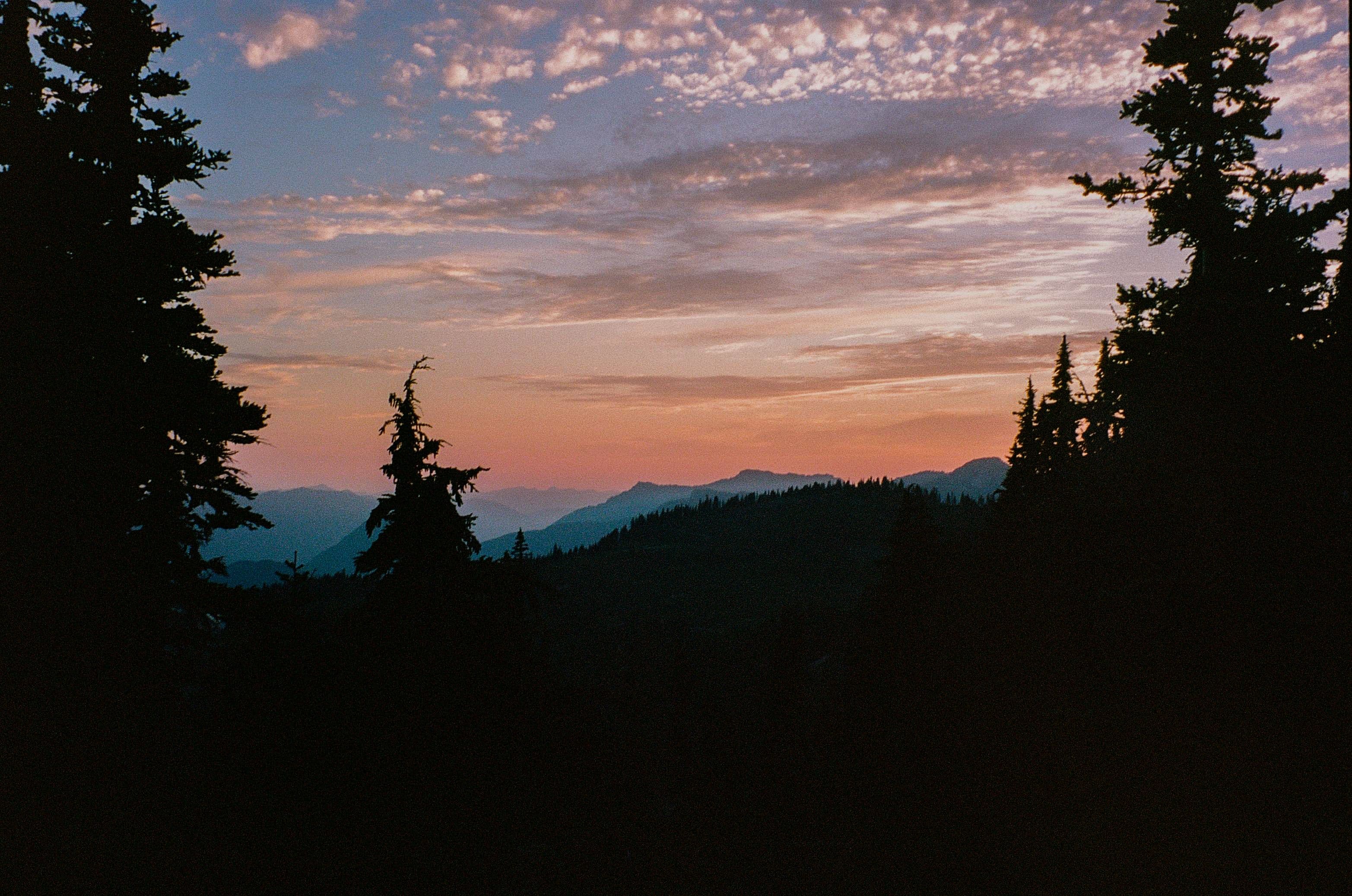 Photo in Mo’ Trips