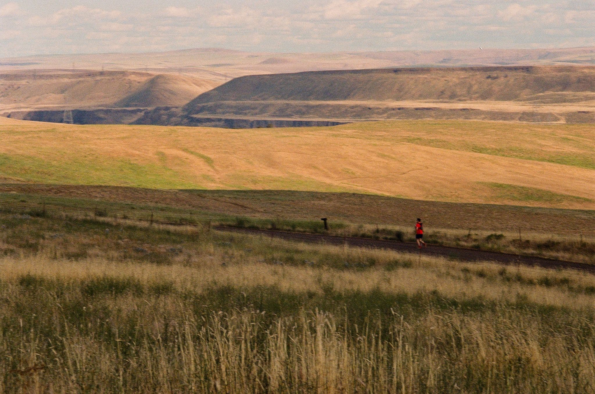 Photo in SIDE QWESTS