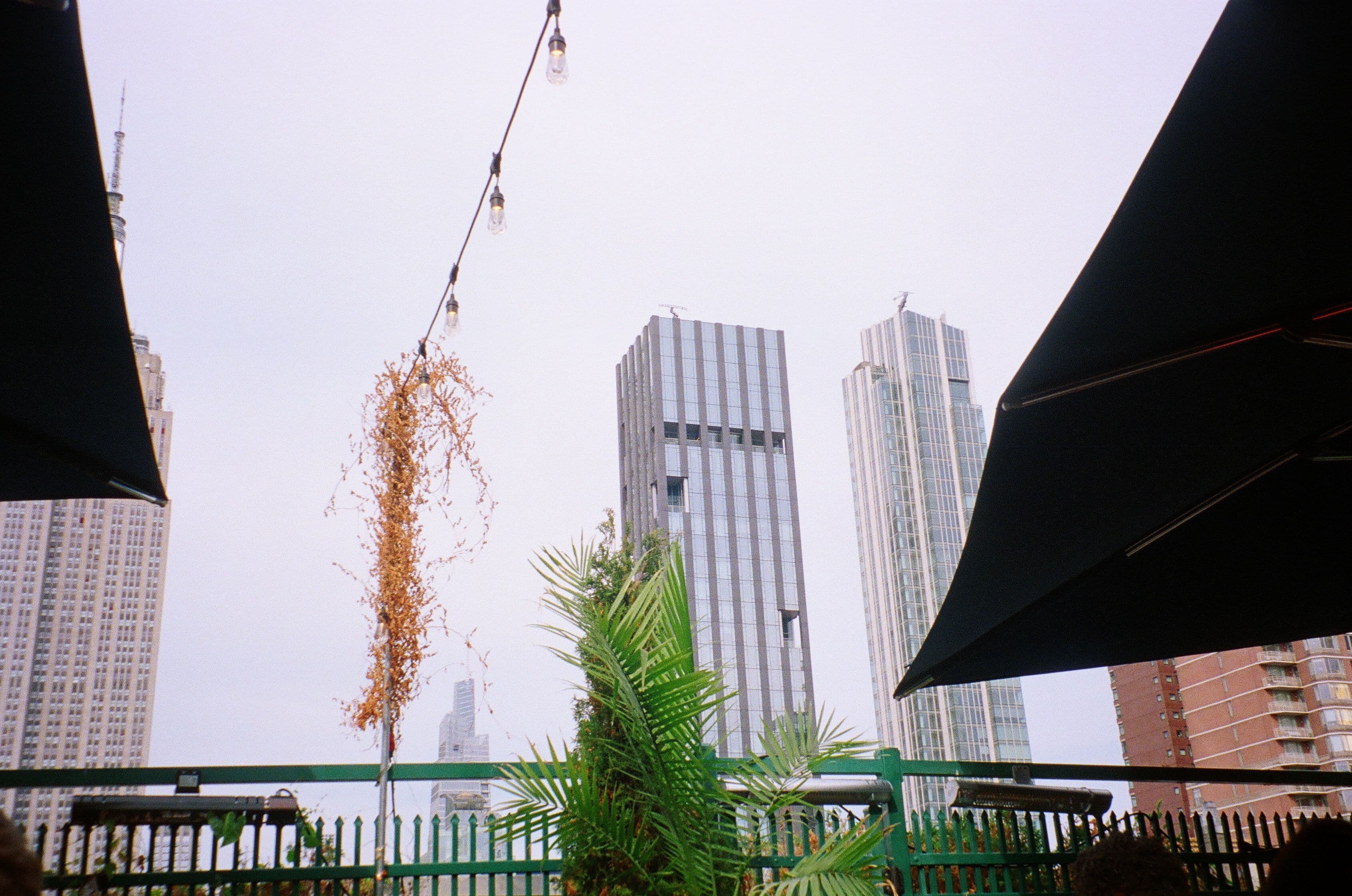 Photo in Fire Island