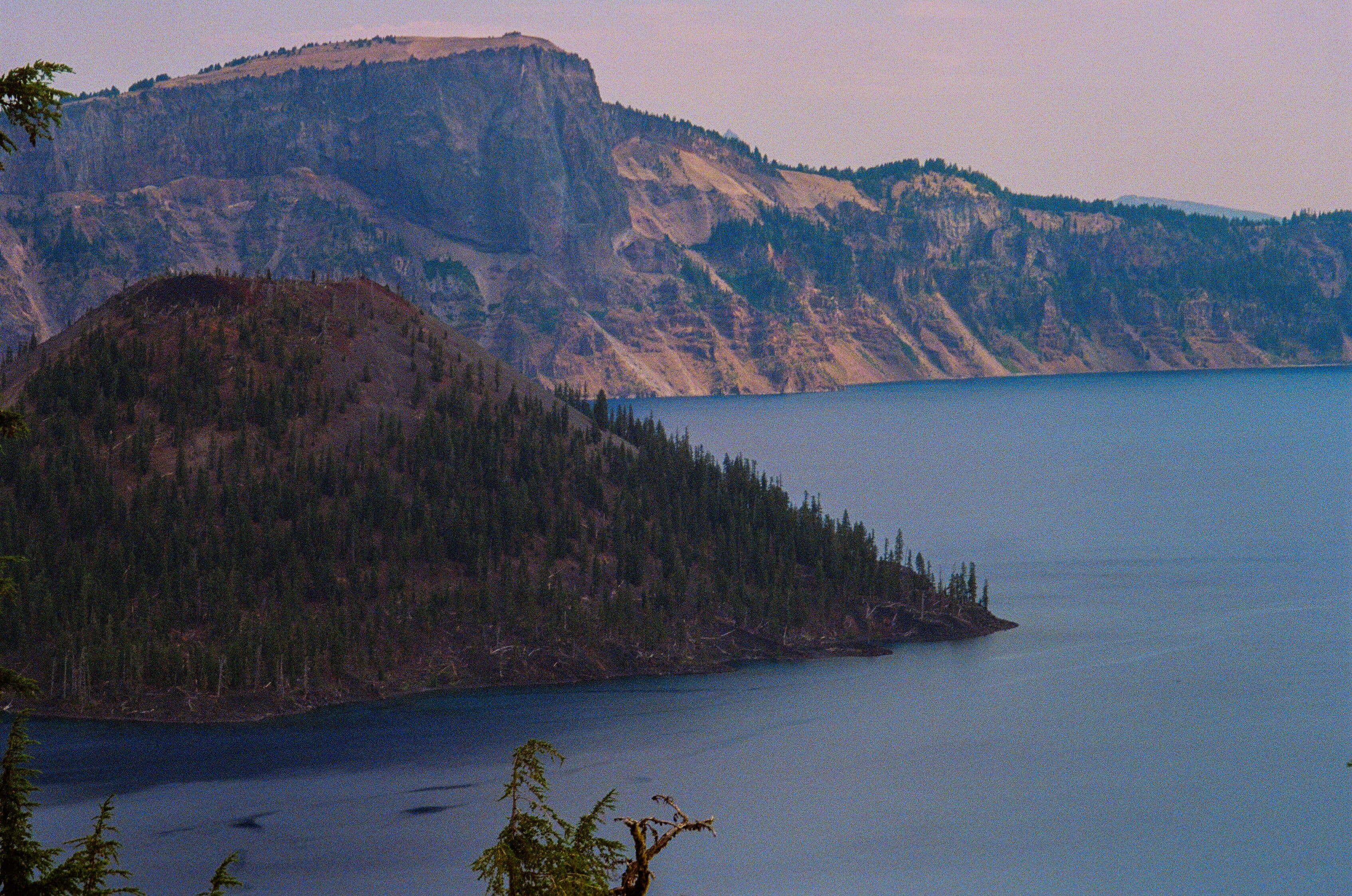 Photo in Down and Out