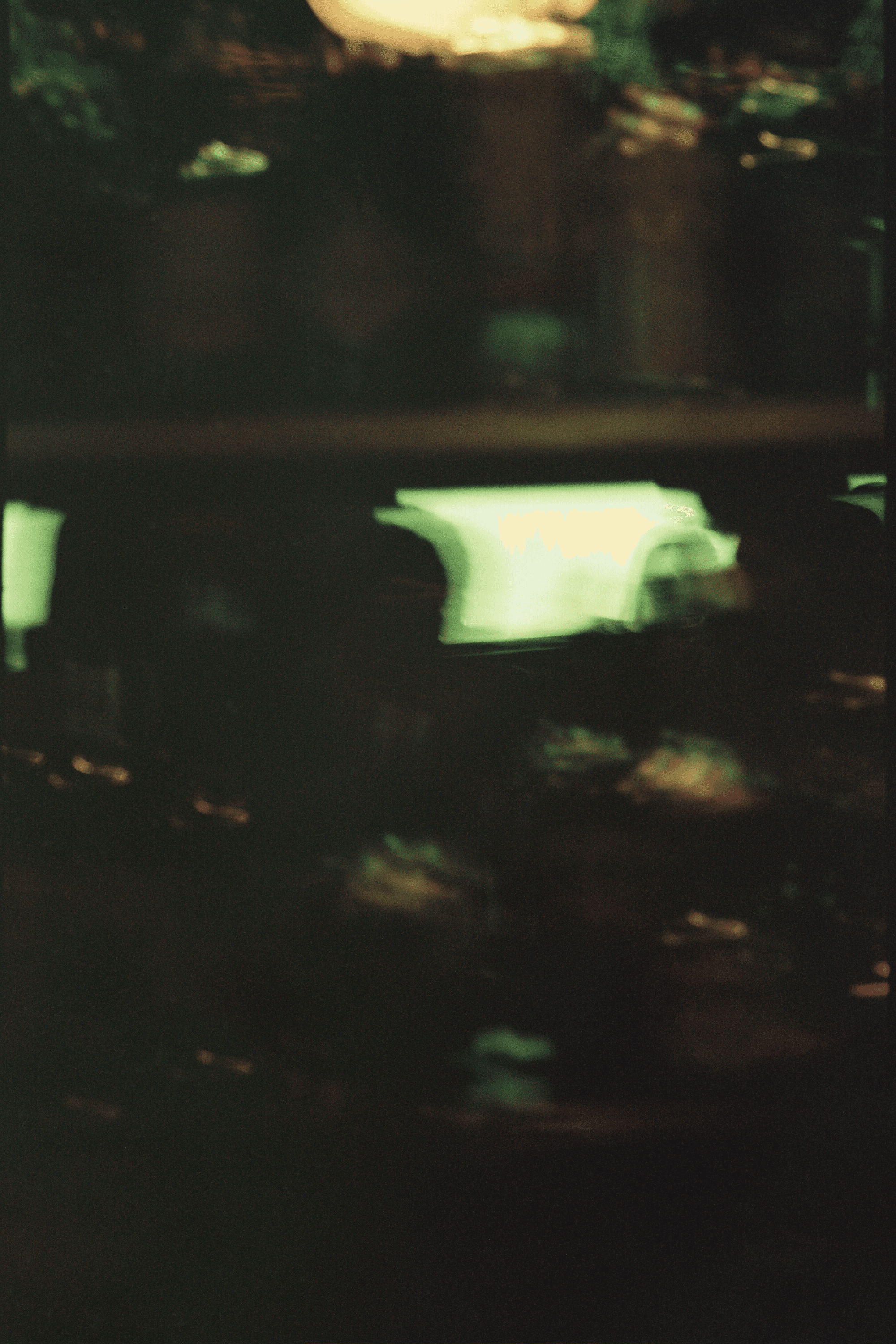 Photo in Back n Forth