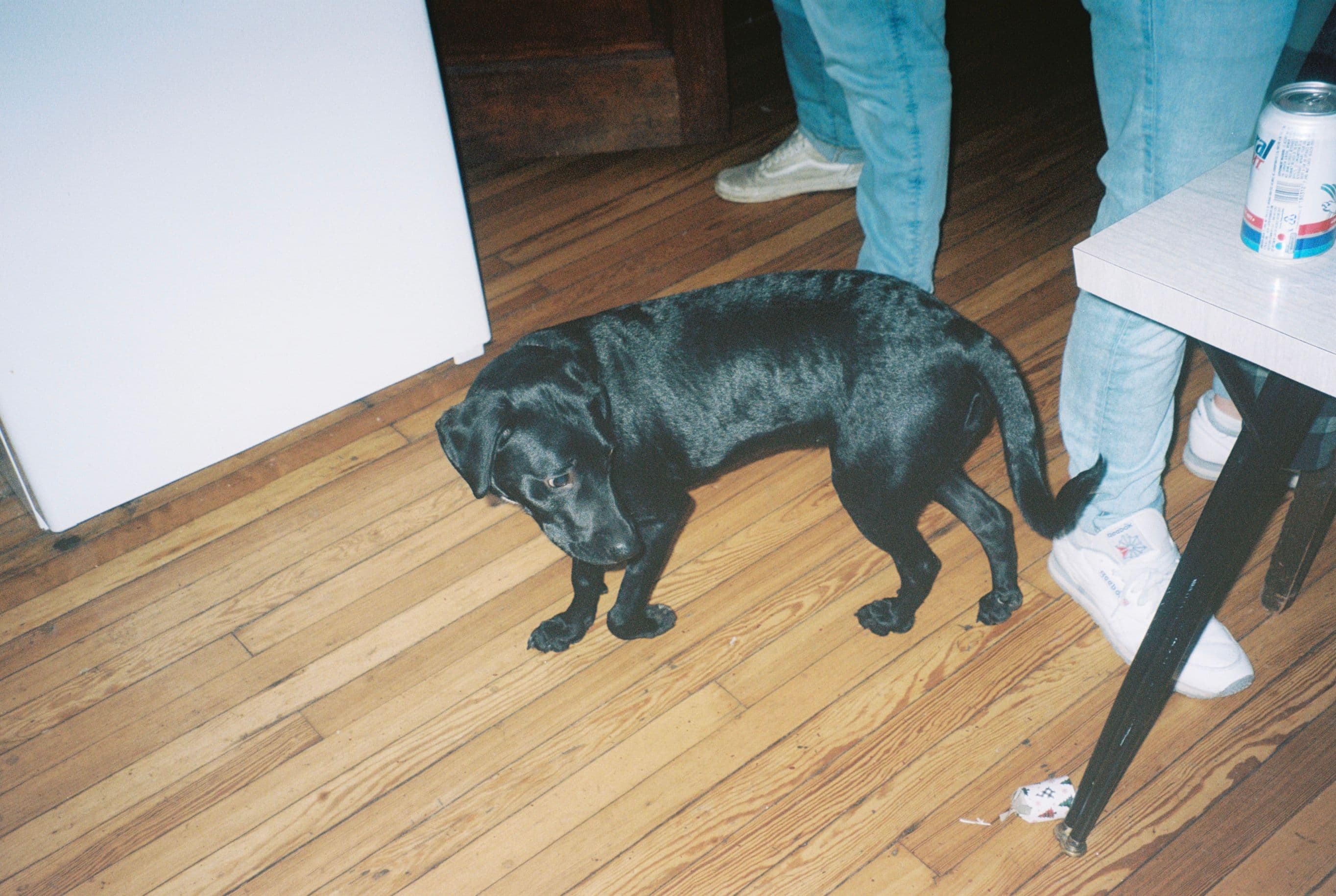 Photo in The Last Dance