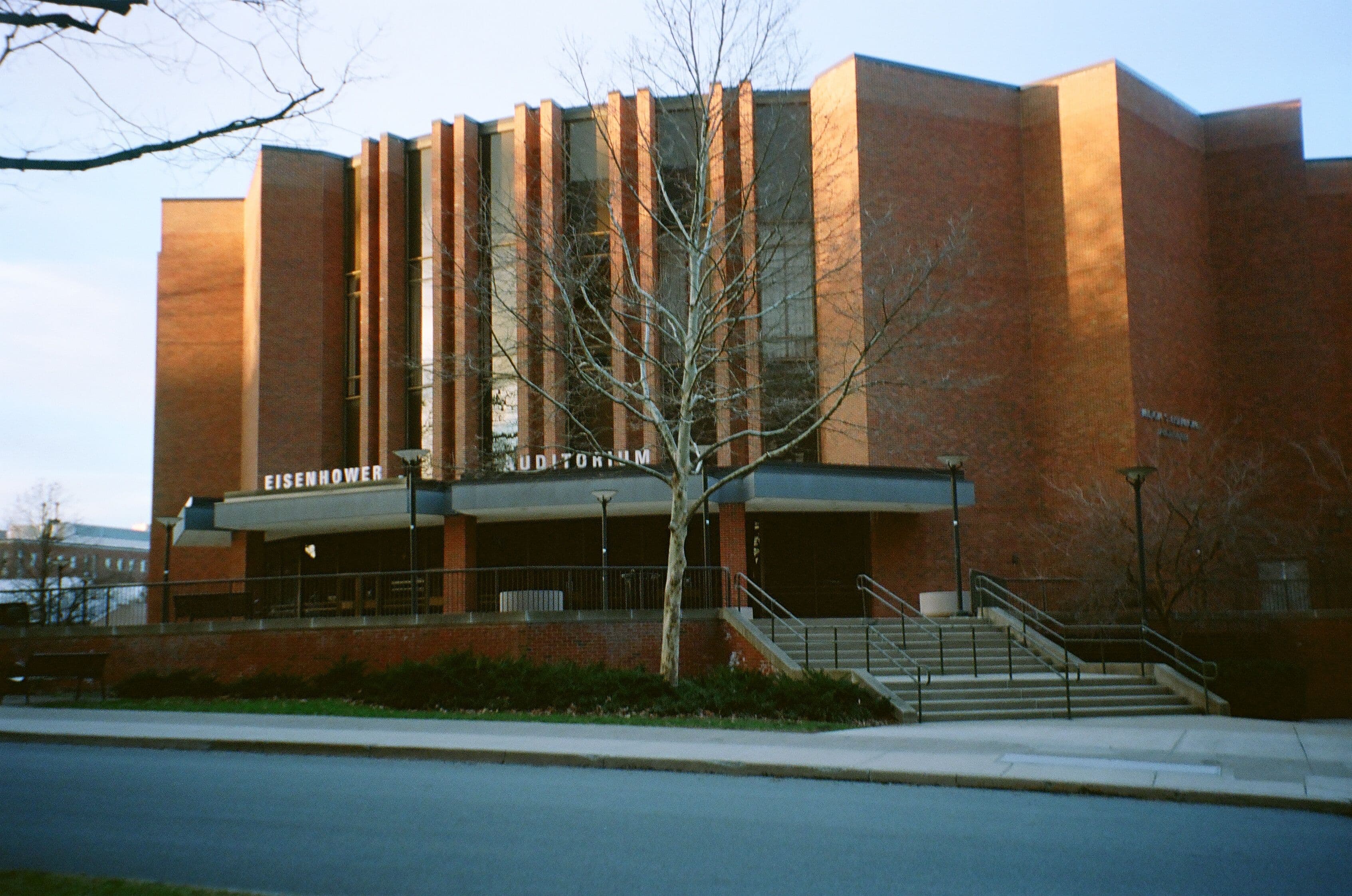 Photo in Banana Shirt