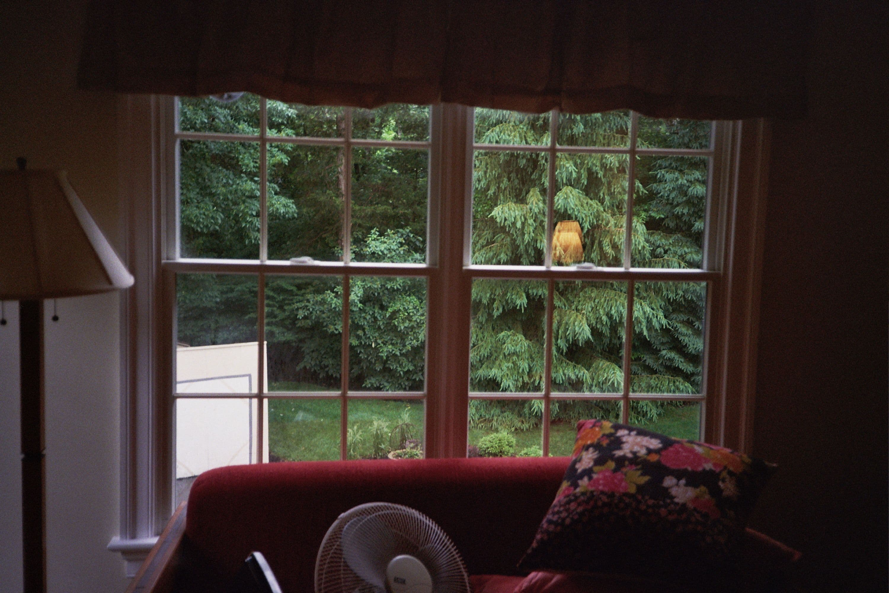 Photo in The Rest is History