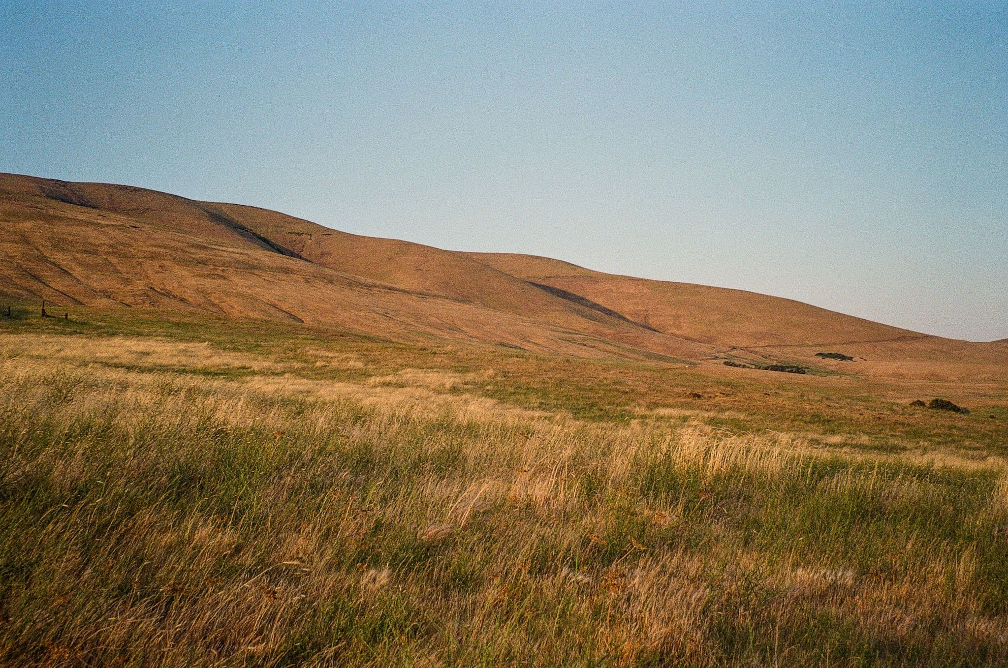 Photo in SIDE QWESTS