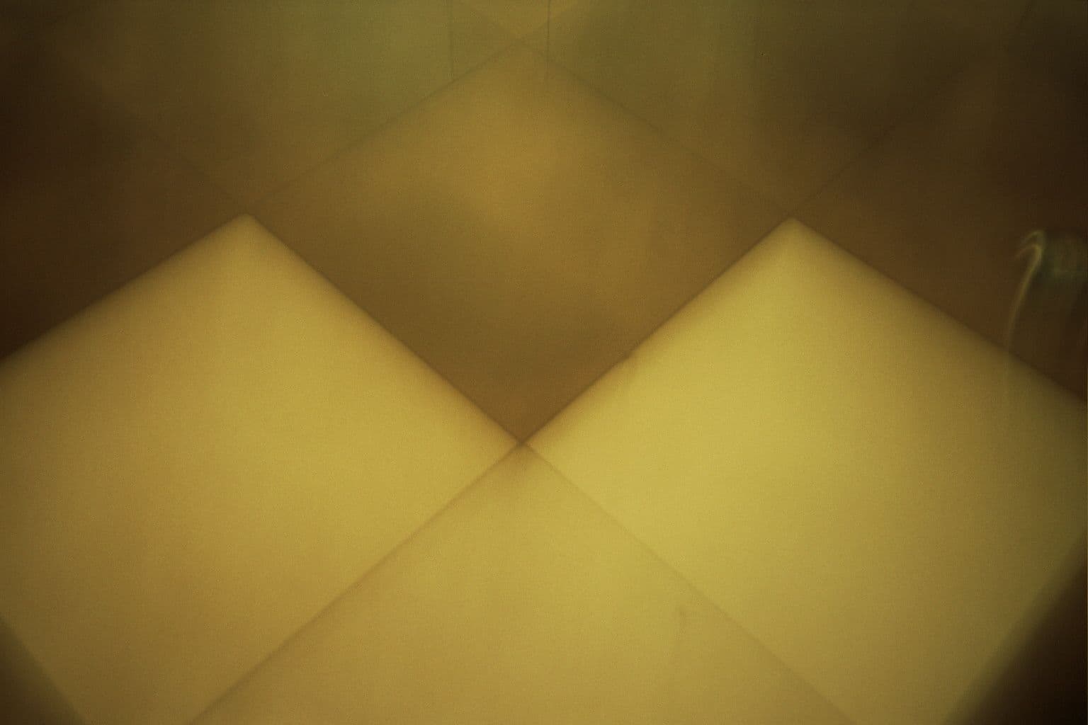 Photo in Finally Legal With Bouls