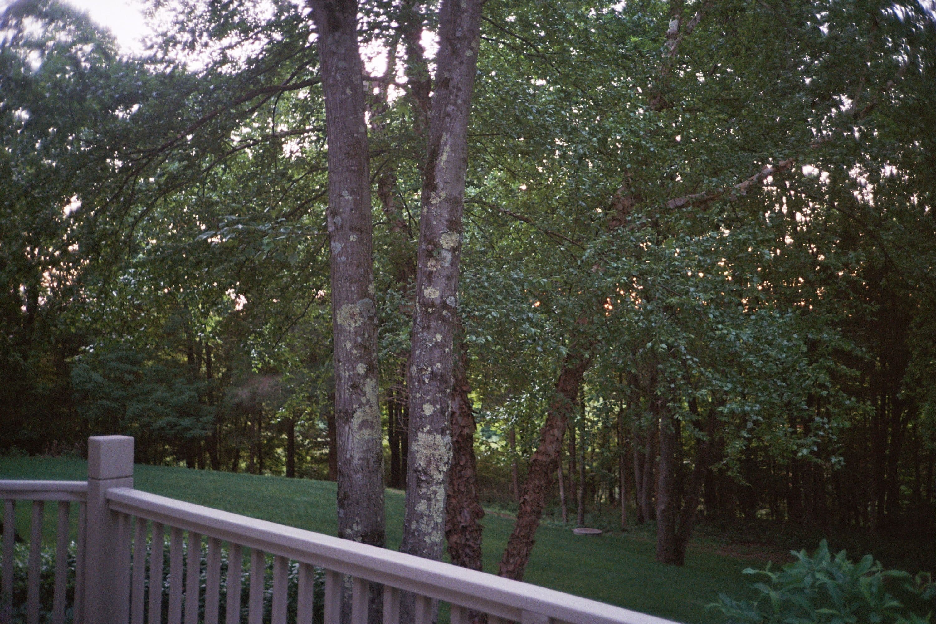 Photo in The Rest is History