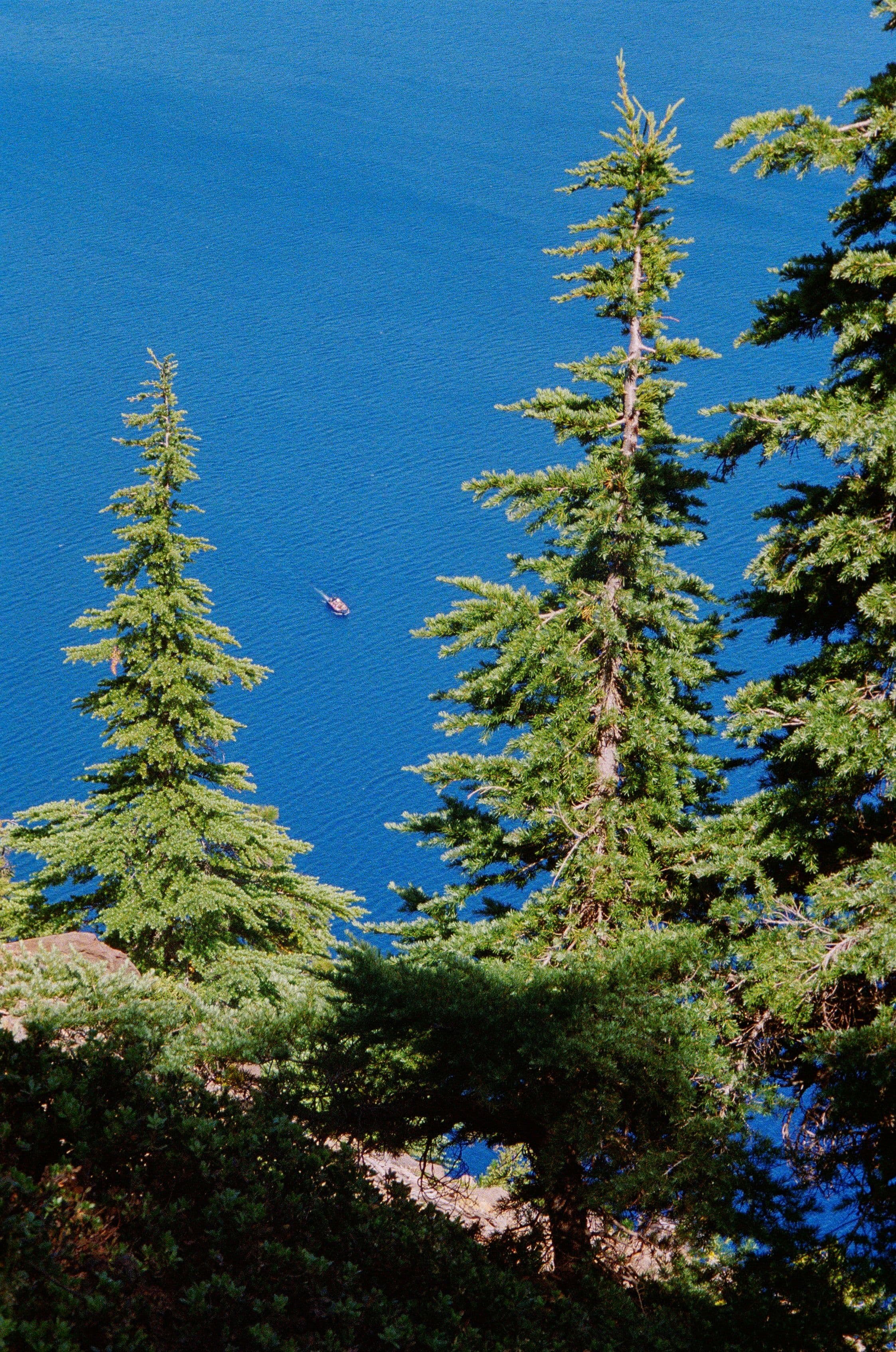 Photo in Down and Out