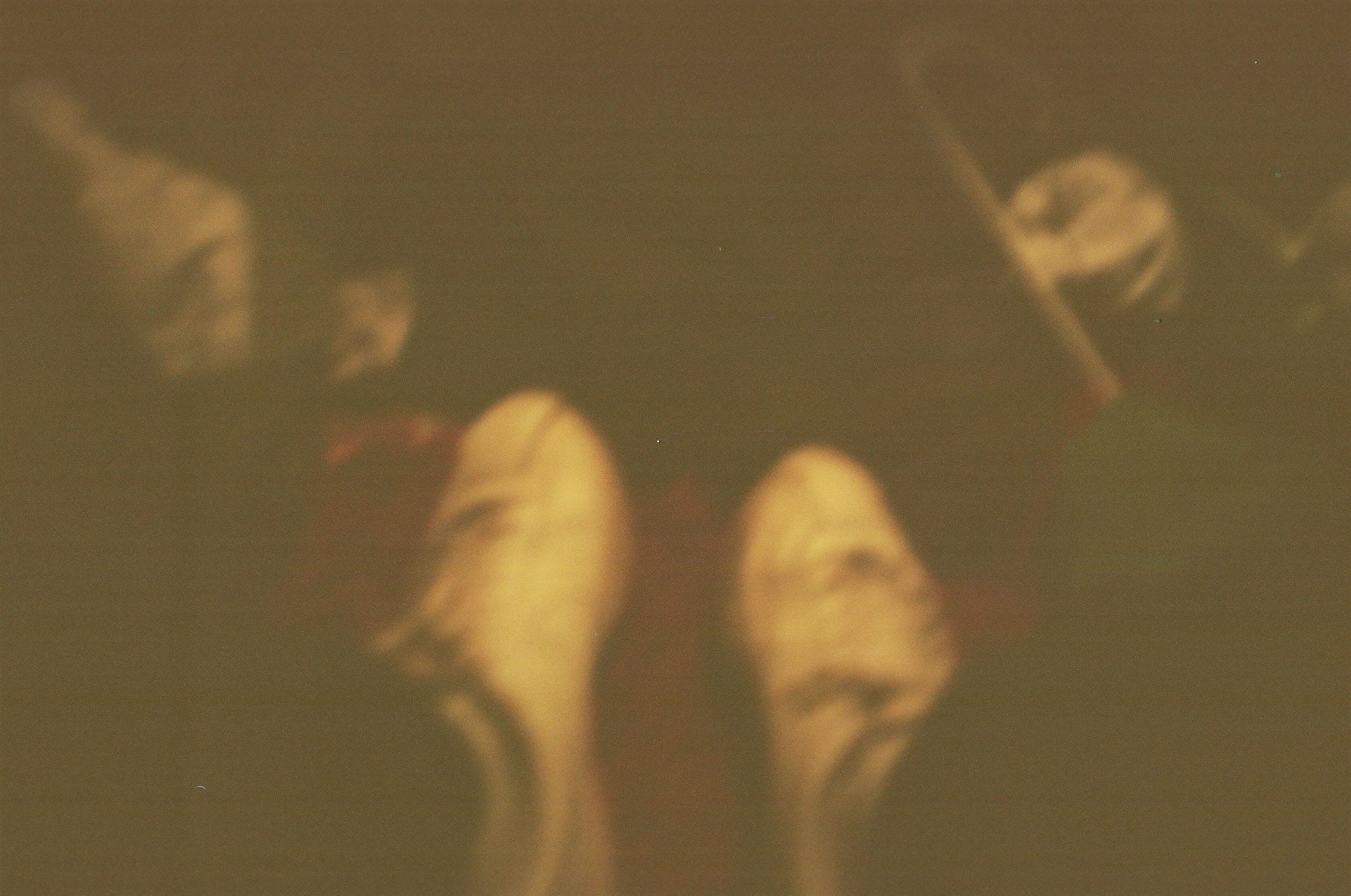 Photo in Spring Semester Speed Run