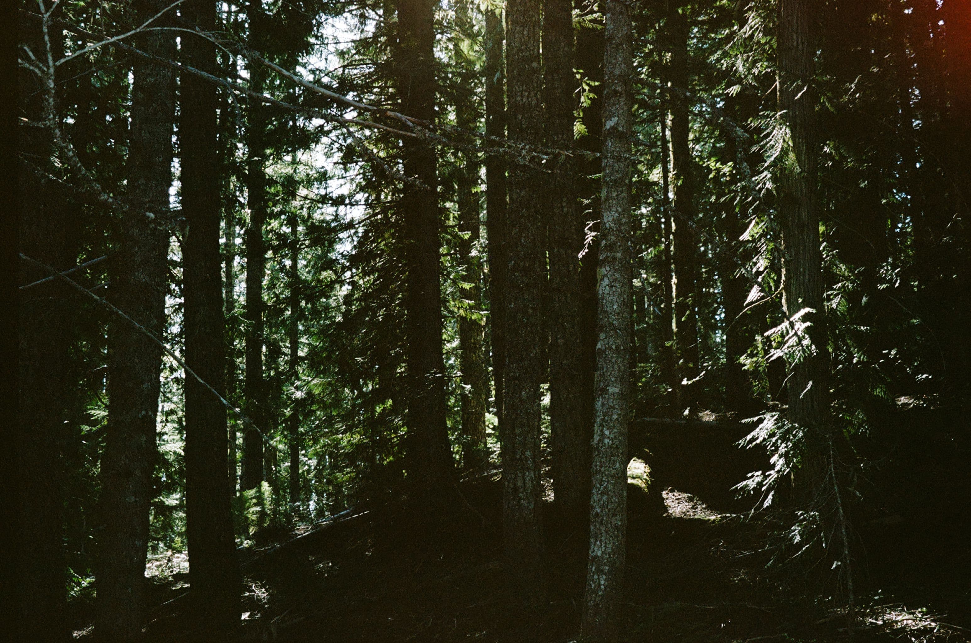 Photo in South To West